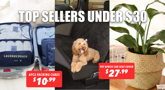 Shop the Home Bargainstore - Top Sellers Under $30! sale