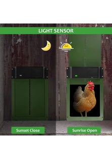 Automatic Chicken Coop Door Chicken Door Opener