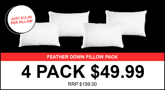 Shop the Only $49.99 ! White Lotus 25/75 Duck Down and Feather Pillow - 4 pack sale