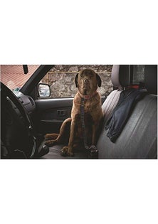 Adjustable Pet Seat Belt