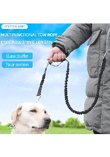 2 in 1 Dog Bungee Leash & Car Seatbelt-Black